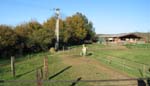 photo051119_018
