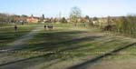 photo051119_024