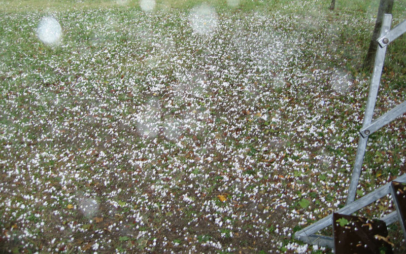 photo060924_91